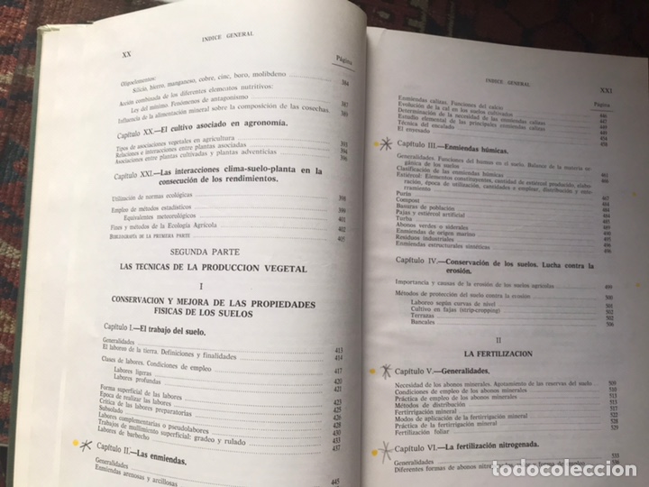 Libros de segunda mano: Fitotecnia general. R. Diehl - Foto 7