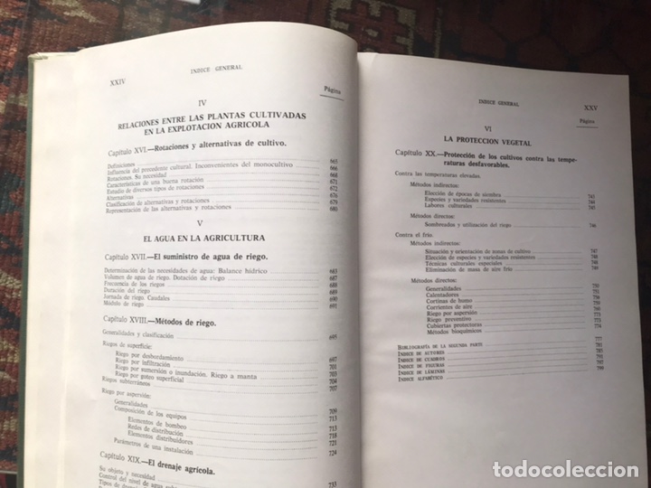 Libros de segunda mano: Fitotecnia general. R. Diehl - Foto 9