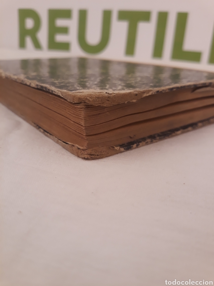 Libros de segunda mano de ciencias: Elementos de Aritmetica. EJERCICIOS Y PROBLEMAS DE ARITMETICA G.M.Bru&ntilde;o.1887. - Foto 4