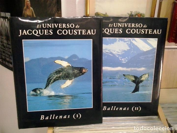 Libros de segunda mano: LMV - Ballenas, tomos 1 y 2 - El universo de Jacques Cousteau - Foto 1