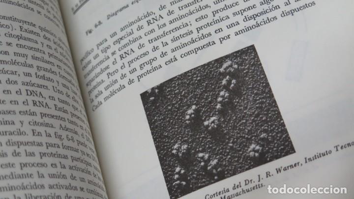 Libros de segunda mano: LA CELULA VEGETAL. JENSEN - Foto 3