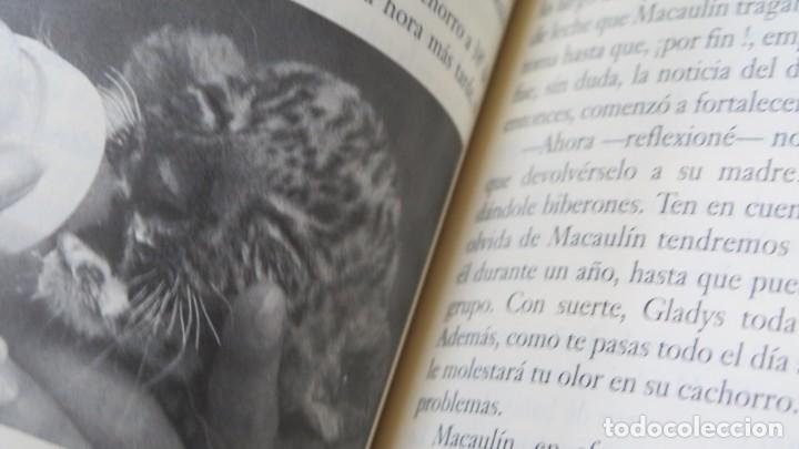 Libros de segunda mano: EL BESO DEL CHIMPANCE. JOSE IGNACIO PARDO - Foto 3