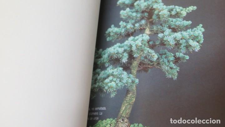 Libros de segunda mano: BONSAI. CARLO GENOTTI - Foto 5