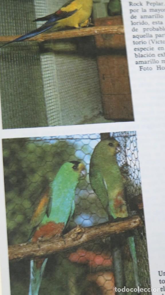Libros de segunda mano: LOROS Y SIMILARES. DUQUE DE BEDFORD - Foto 9
