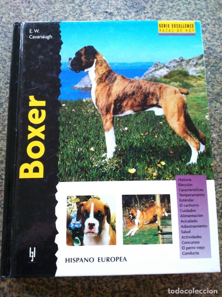 Libros de segunda mano: SERIE EXCELLENCE RAZAS DE HOY -- BOXER -- E. W. CAVANAUGH -- 2001 -- - Foto 1