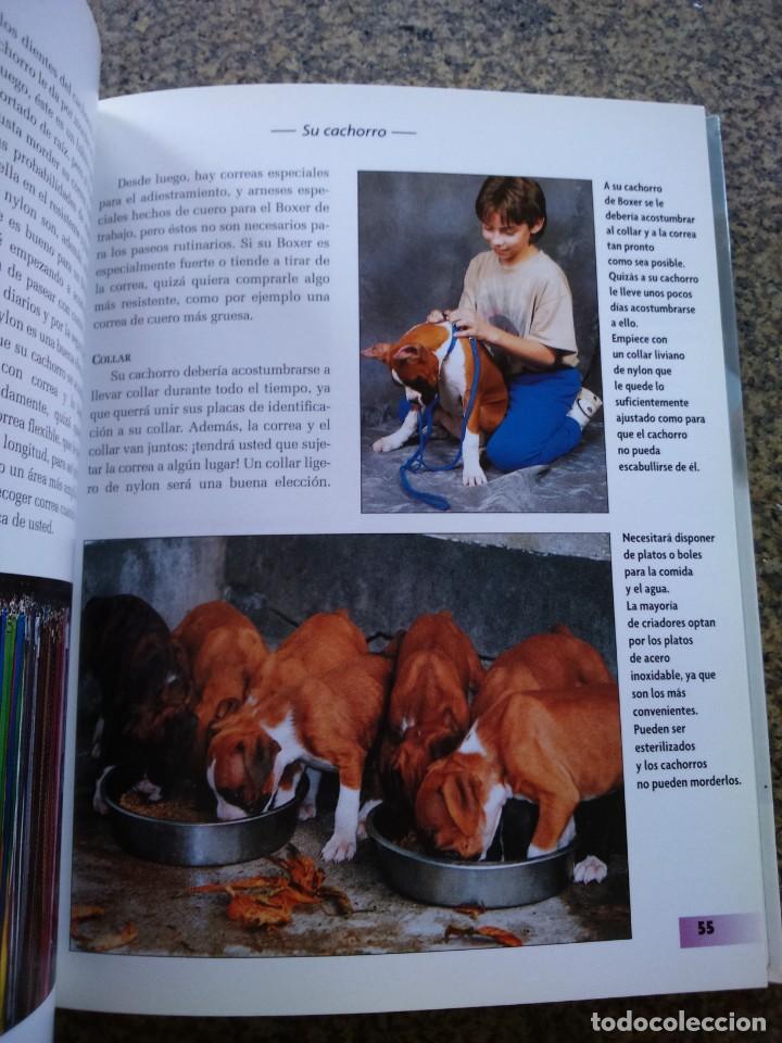 Libros de segunda mano: SERIE EXCELLENCE RAZAS DE HOY -- BOXER -- E. W. CAVANAUGH -- 2001 -- - Foto 2