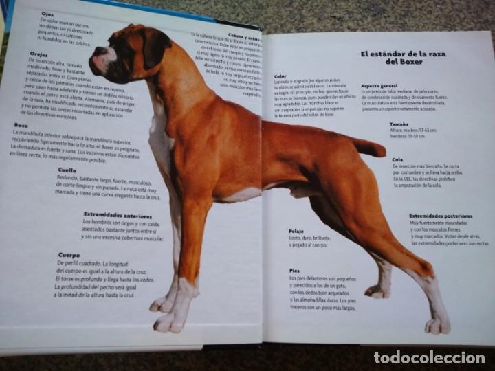 Libros de segunda mano: SERIE EXCELLENCE RAZAS DE HOY -- BOXER -- E. W. CAVANAUGH -- 2001 -- - Foto 3