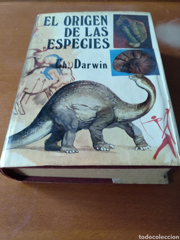 Libros de segunda mano: El origen de las especies - Charles Darwin - Foto 1