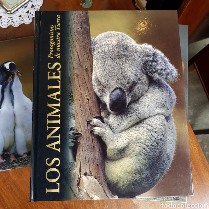 Libros de segunda mano: LOS ANIMALES PROTAGONISTAS DE NUESTRA TIERRA ( 10 TOMOS ) EDICIONES RUEDA - Foto 3