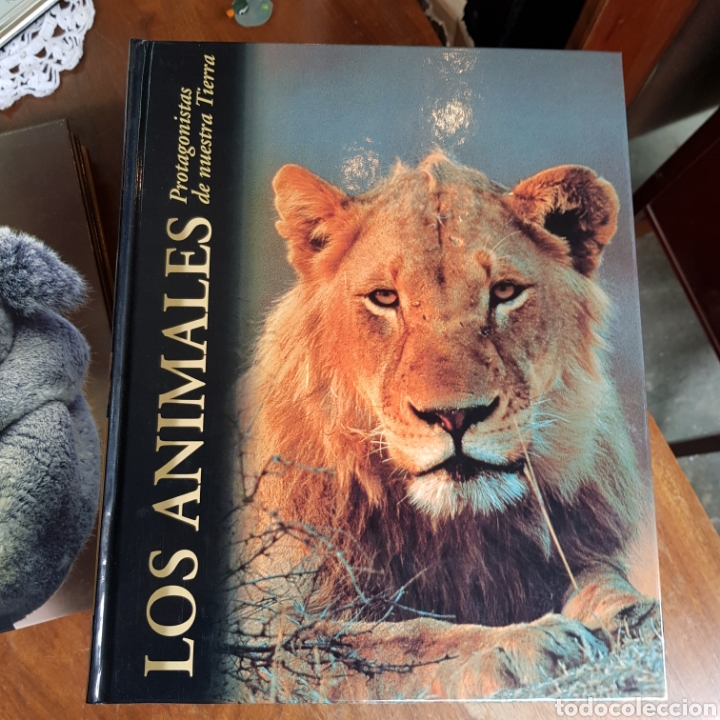 Libros de segunda mano: LOS ANIMALES PROTAGONISTAS DE NUESTRA TIERRA ( 10 TOMOS ) EDICIONES RUEDA - Foto 4