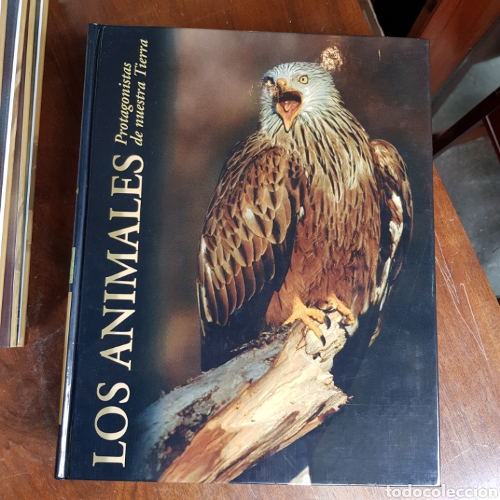 Libros de segunda mano: LOS ANIMALES PROTAGONISTAS DE NUESTRA TIERRA ( 10 TOMOS ) EDICIONES RUEDA - Foto 9