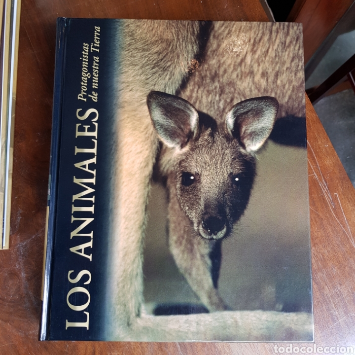 Libros de segunda mano: LOS ANIMALES PROTAGONISTAS DE NUESTRA TIERRA ( 10 TOMOS ) EDICIONES RUEDA - Foto 10