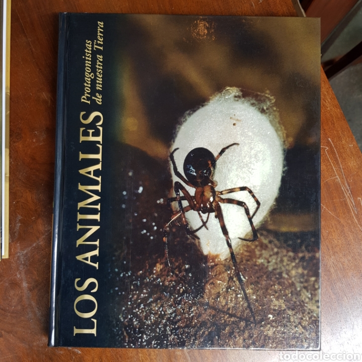 Libros de segunda mano: LOS ANIMALES PROTAGONISTAS DE NUESTRA TIERRA ( 10 TOMOS ) EDICIONES RUEDA - Foto 11