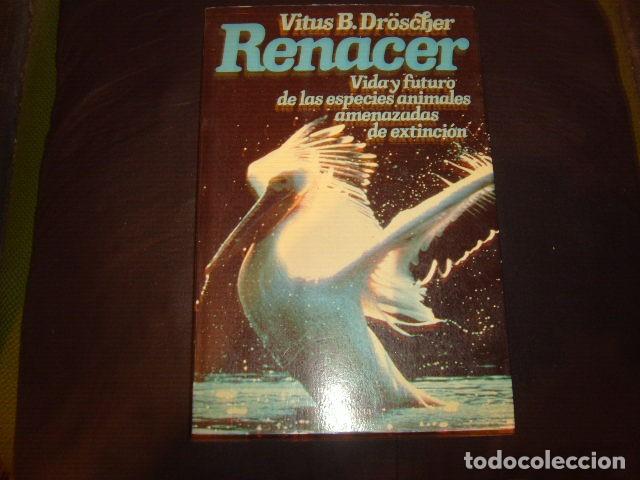Libros de segunda mano: RENACER . VITUS B. DROSCHER - Foto 1