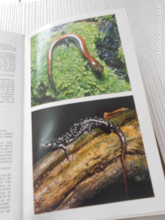 Libros de segunda mano: GUIA DE ANFIBIOS Y REPTILES - Foto 6