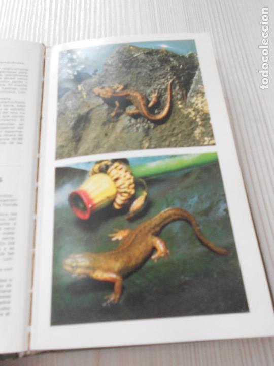 Libros de segunda mano: GUIA DE ANFIBIOS Y REPTILES - Foto 7