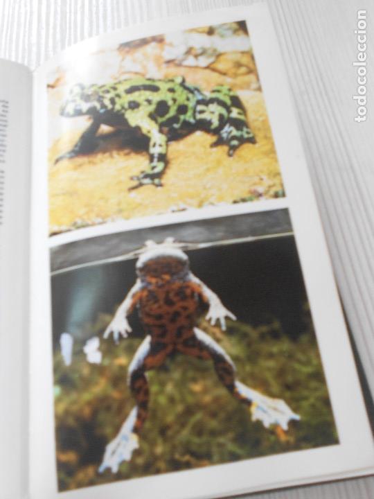 Libros de segunda mano: GUIA DE ANFIBIOS Y REPTILES - Foto 10