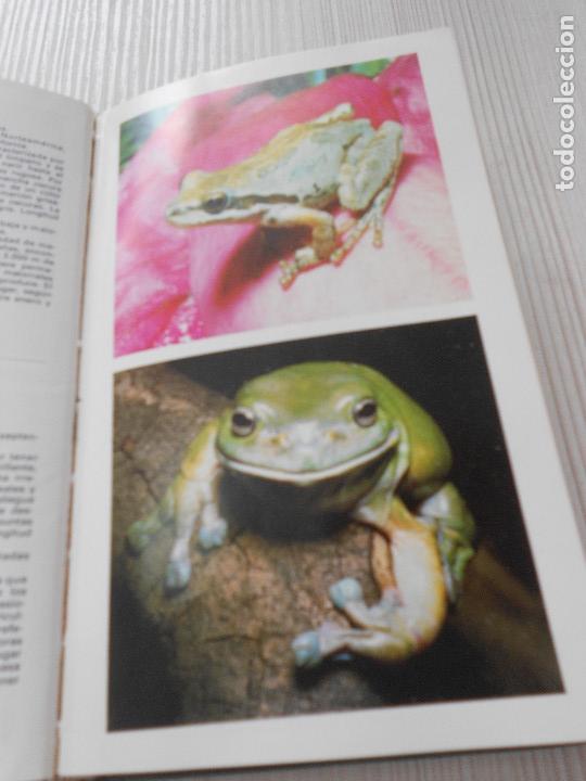 Libros de segunda mano: GUIA DE ANFIBIOS Y REPTILES - Foto 11