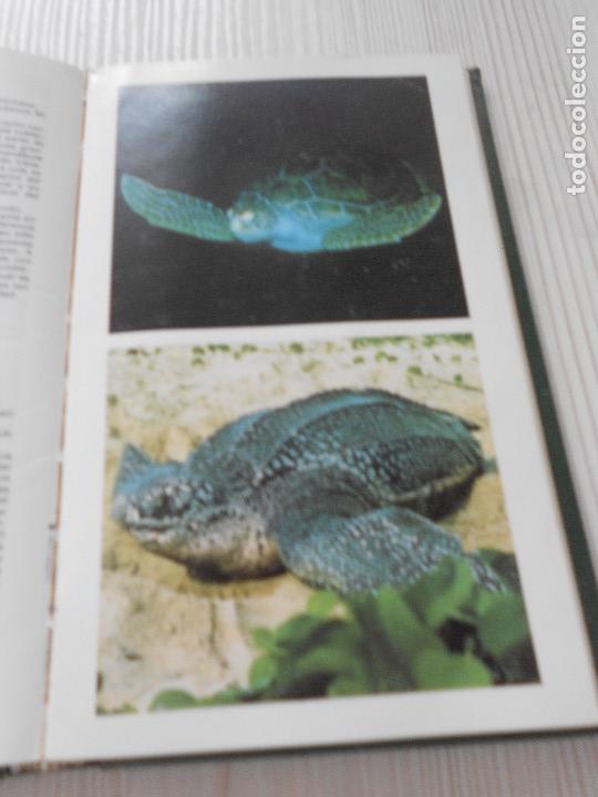 Libros de segunda mano: GUIA DE ANFIBIOS Y REPTILES - Foto 13