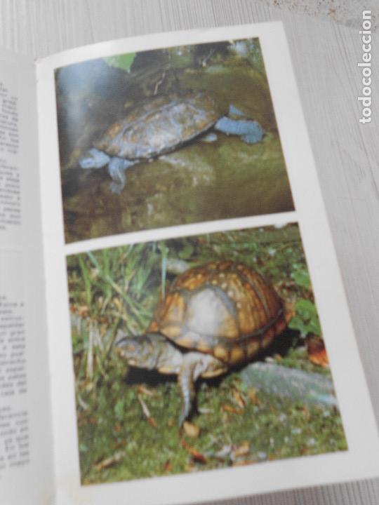 Libros de segunda mano: GUIA DE ANFIBIOS Y REPTILES - Foto 14