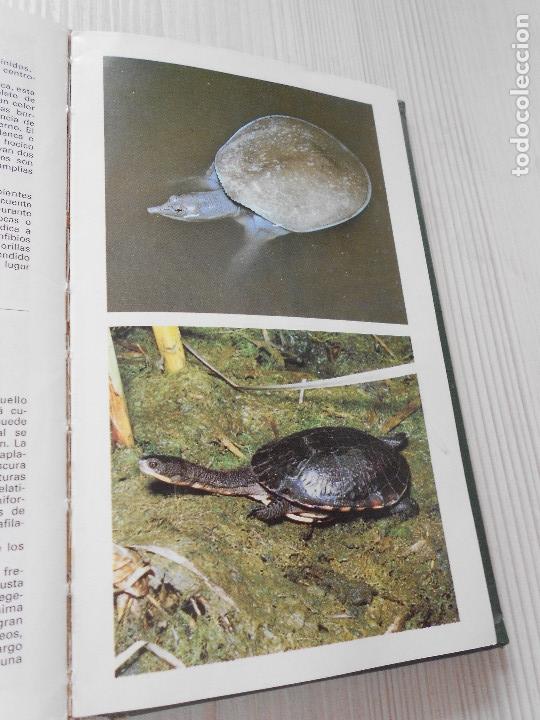 Libros de segunda mano: GUIA DE ANFIBIOS Y REPTILES - Foto 15