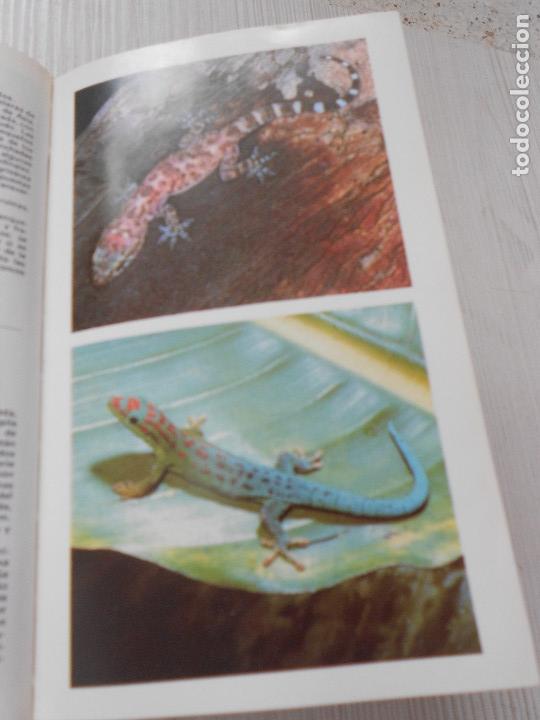 Libros de segunda mano: GUIA DE ANFIBIOS Y REPTILES - Foto 17