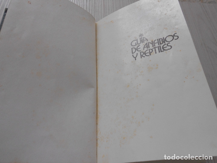 Libros de segunda mano: GUIA DE ANFIBIOS Y REPTILES - Foto 3