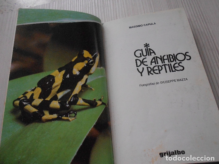 Libros de segunda mano: GUIA DE ANFIBIOS Y REPTILES - Foto 4