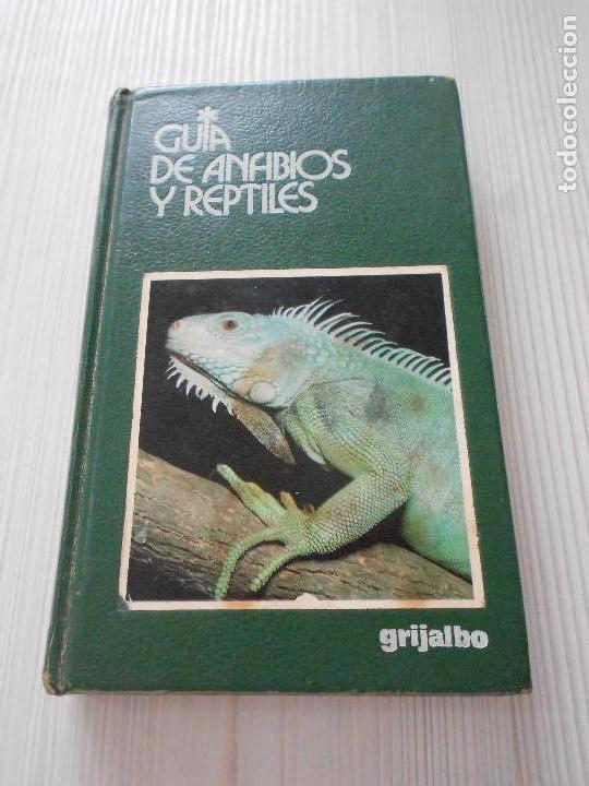Libros de segunda mano: GUIA DE ANFIBIOS Y REPTILES - Foto 1