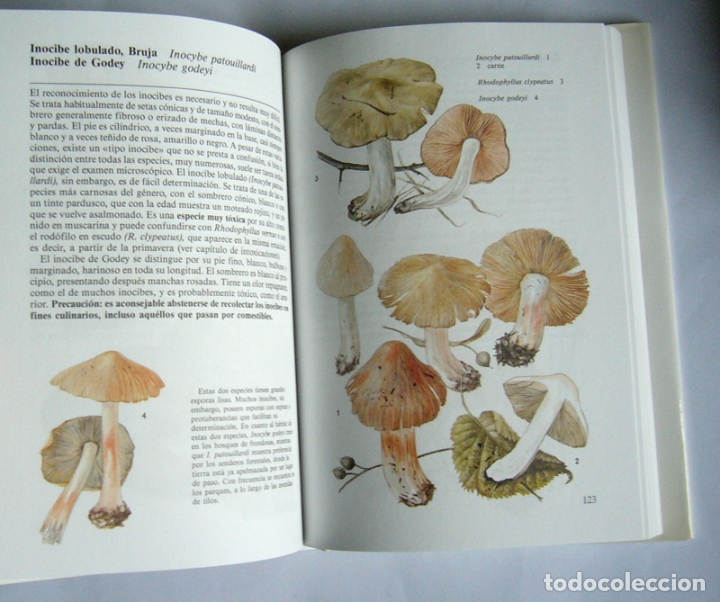 Libros de segunda mano: SETAS - GEORGES BECKER - Foto 4