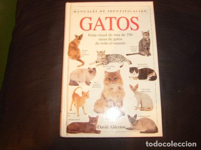 Libros de segunda mano: MANUALES DE IDENTIFICACION , GATOS , DAVID ALDERTON - Foto 1