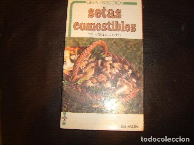 Libros de segunda mano: GUIA PRACTICA SETAS COMESTIBLES CON SABROSAS RECETAS , DAIMON - Foto 1