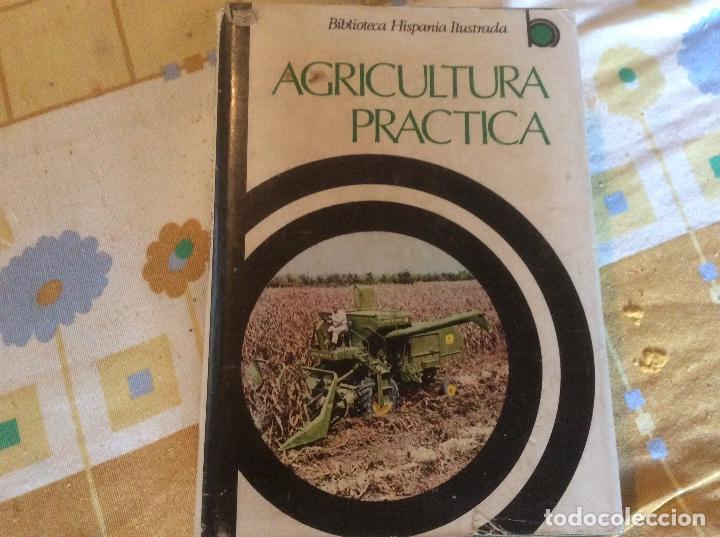 Libros de segunda mano: AGRICULTURA PRACTICA -MARTINEZ PLANAS TICO ROIG - Foto 1
