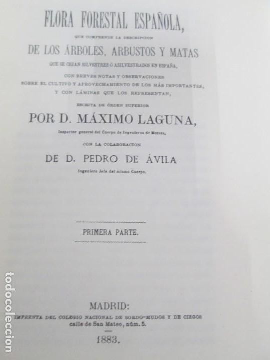 Libros de segunda mano: FLORA FORESTAL ESPA&Ntilde;OLA. MAXIMO LAGUNA. FACSIMIL. XUNTA DE GALICIA 1993. - Foto 7