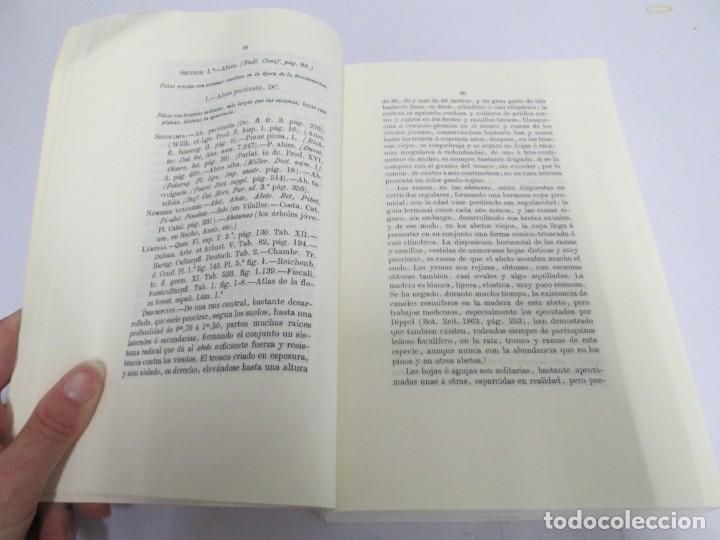 Libros de segunda mano: FLORA FORESTAL ESPA&Ntilde;OLA. MAXIMO LAGUNA. FACSIMIL. XUNTA DE GALICIA 1993. - Foto 8