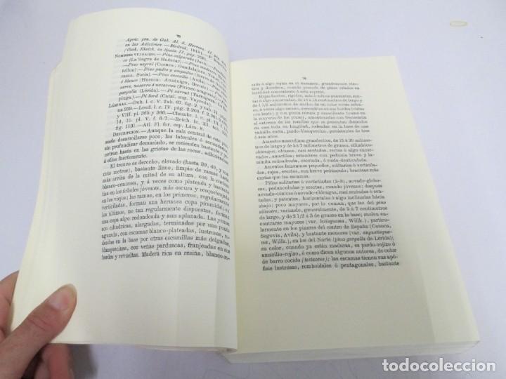 Libros de segunda mano: FLORA FORESTAL ESPA&Ntilde;OLA. MAXIMO LAGUNA. FACSIMIL. XUNTA DE GALICIA 1993. - Foto 9