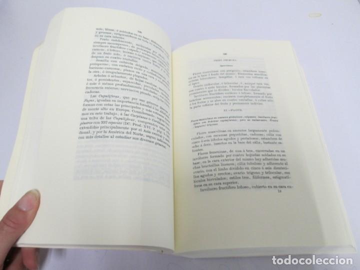 Libros de segunda mano: FLORA FORESTAL ESPA&Ntilde;OLA. MAXIMO LAGUNA. FACSIMIL. XUNTA DE GALICIA 1993. - Foto 10