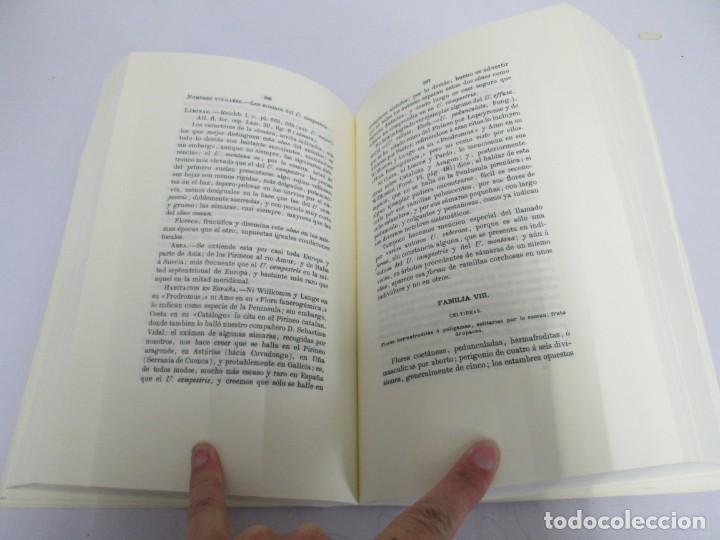Libros de segunda mano: FLORA FORESTAL ESPA&Ntilde;OLA. MAXIMO LAGUNA. FACSIMIL. XUNTA DE GALICIA 1993. - Foto 11
