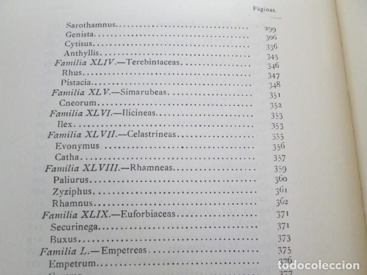 Libros de segunda mano: FLORA FORESTAL ESPA&Ntilde;OLA. MAXIMO LAGUNA. FACSIMIL. XUNTA DE GALICIA 1993. - Foto 15
