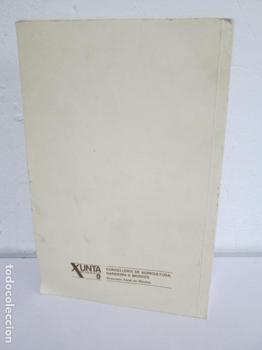 Libros de segunda mano: FLORA FORESTAL ESPA&Ntilde;OLA. MAXIMO LAGUNA. FACSIMIL. XUNTA DE GALICIA 1993. - Foto 22