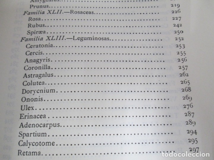 Libros de segunda mano: FLORA FORESTAL ESPA&Ntilde;OLA. MAXIMO LAGUNA. FACSIMIL. XUNTA DE GALICIA 1993. - Foto 17