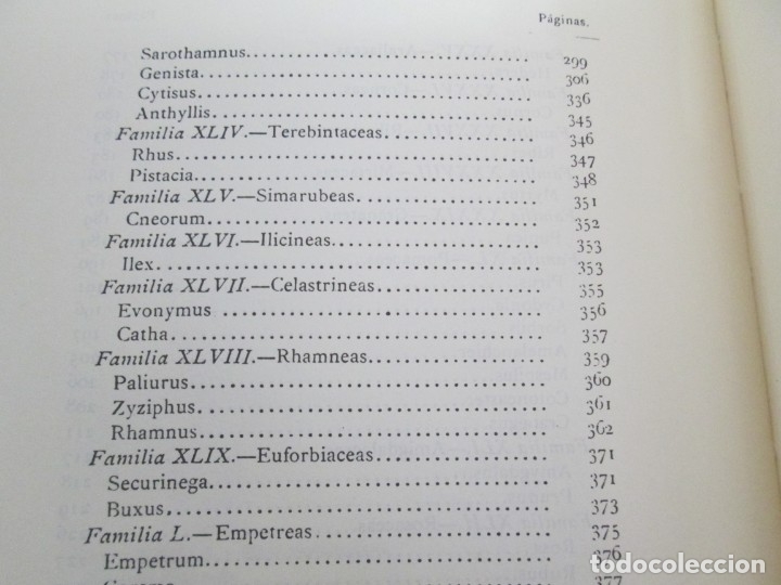 Libros de segunda mano: FLORA FORESTAL ESPA&Ntilde;OLA. MAXIMO LAGUNA. FACSIMIL. XUNTA DE GALICIA 1993. - Foto 18