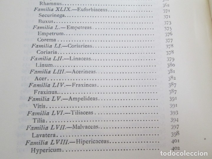 Libros de segunda mano: FLORA FORESTAL ESPA&Ntilde;OLA. MAXIMO LAGUNA. FACSIMIL. XUNTA DE GALICIA 1993. - Foto 19