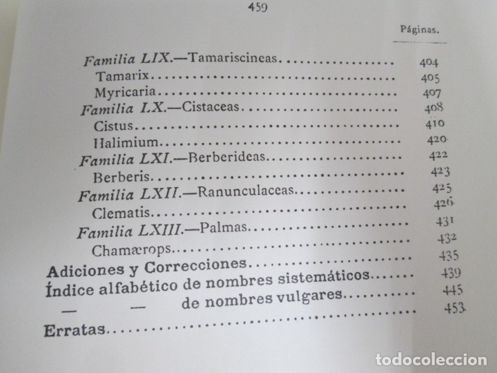 Libros de segunda mano: FLORA FORESTAL ESPA&Ntilde;OLA. MAXIMO LAGUNA. FACSIMIL. XUNTA DE GALICIA 1993. - Foto 20
