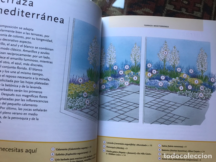 Libros de segunda mano: Macizos de flores. Ideas & Recetas. Hispano Europea. Como nuevo - Foto 5