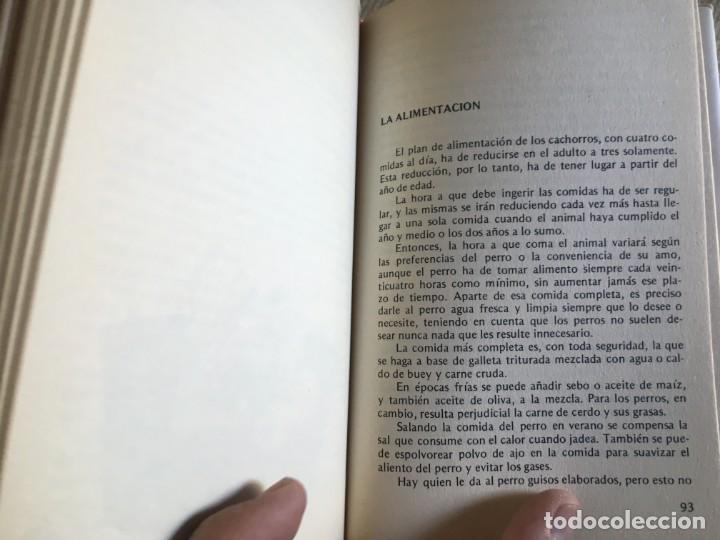 Libros de segunda mano: EL PERRO DE COMPA&Ntilde;&Iacute;A - RAREZA - EDITORS - Foto 2