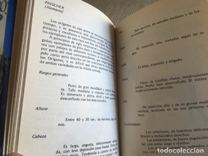 Libros de segunda mano: EL PERRO DE COMPA&Ntilde;&Iacute;A - RAREZA - EDITORS - Foto 3