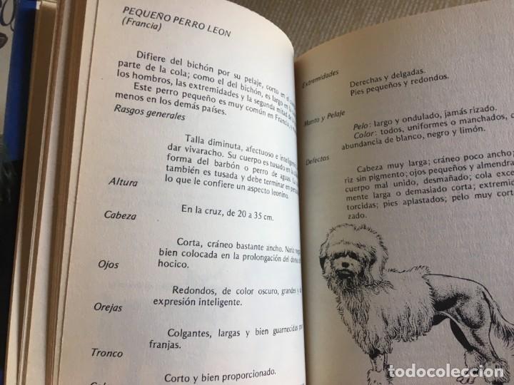 Libros de segunda mano: EL PERRO DE COMPA&Ntilde;&Iacute;A - RAREZA - EDITORS - Foto 4