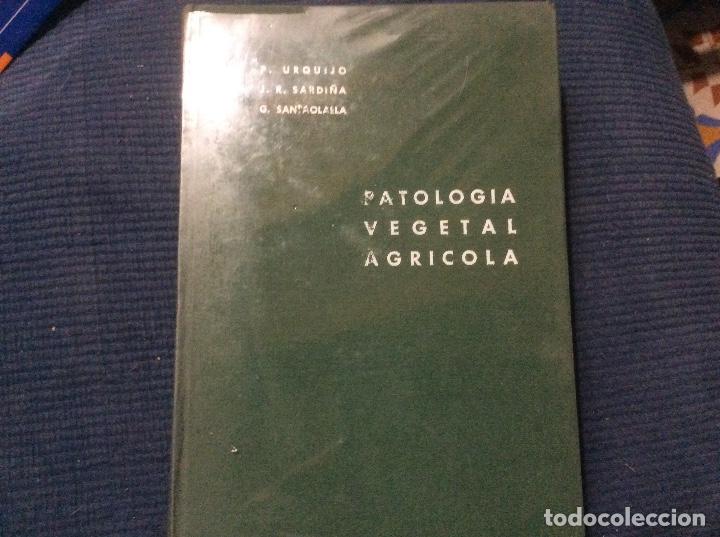 Gebrauchte B&uuml;cher: PATOLOG&Iacute;A VEGETAL AGR&Iacute;COLA. ENFERMEDADES DE LAS PLANTAS. URQUIJO P. SARDI&Ntilde;A J.R. SANTAOLALLA G. 1971