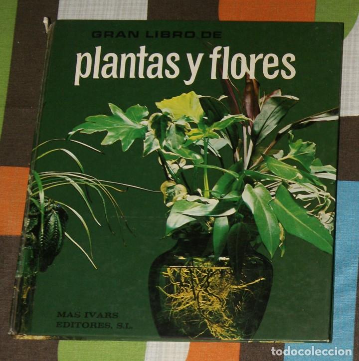 Libros de segunda mano: Gran libro de plantas y flores Mas Ivars editores - Foto 1